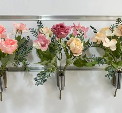 عمده فروشی بوته رز سوخته