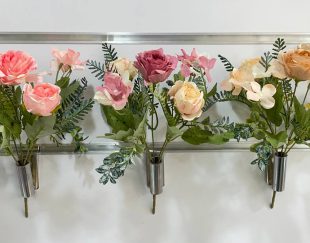 عمده فروشی بوته رز سوخته