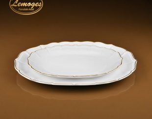 دیس بیضی ریوان کوچک