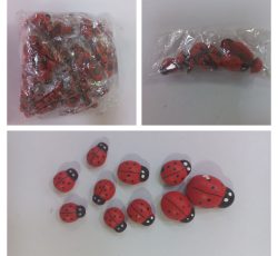 عمده فروشی مگنت کفشدوزک