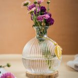 پخش گلدان باتیس