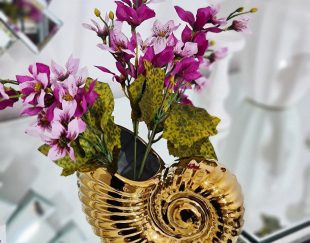 گلدان حلزونی | زیبایی طبیعی در دکوراسیون منزل