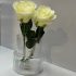 گلدان شیشه ای آتلانتیس، کیفیت عالی و قیمت مناسب