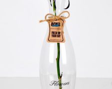 گلدان شیشه ای شاهارا، کیفیت عالی و قیمت مناسب