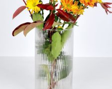 گلدان شیشه ای روژا، مناسب برای انواع گیاهان آپارتمانی
