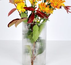 گلدان شیشه ای روژا، مناسب برای انواع گیاهان آپارتمانی