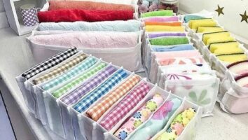 راهنمای جامع استفاده از ارگانایزر