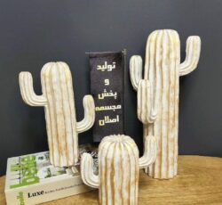 مجسمه کاکتوس