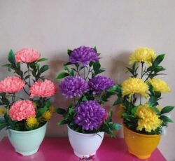 گلدان داودی