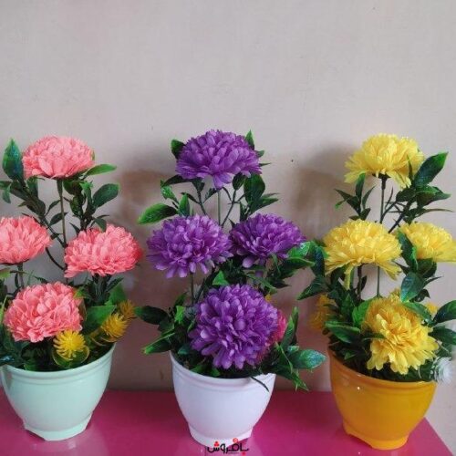 گلدان داودی